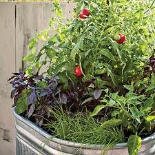 containergardening