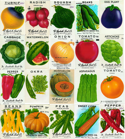 Free Garden Seeds Free Vegetable And Flower Seeds Easy To Find