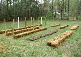 strawbalegardening2