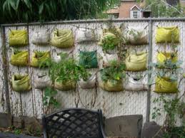 verticalgardening3