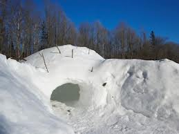 wintersurvivalshelter2