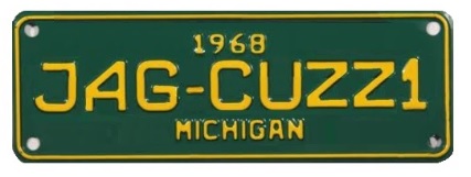 a-Jag-cuzzi-number-plate